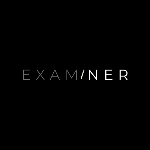 EXAMINER LOGO